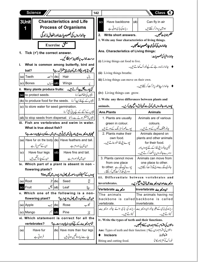 My Success Book Class 4 - Image 4