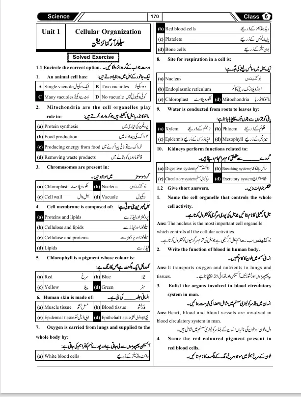 My Success Book Class 6 - Image 2