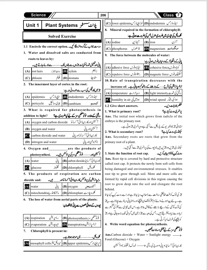 My Success Book Class 7 - Image 3